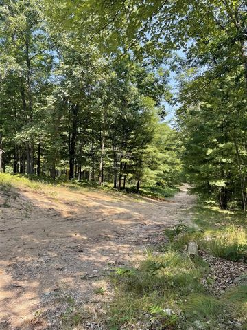 10897 N Mac Road, Irons, MI 49644