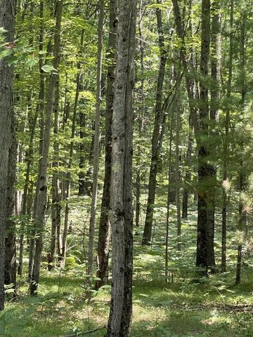 10897 N Mac Road, Irons, MI 49644