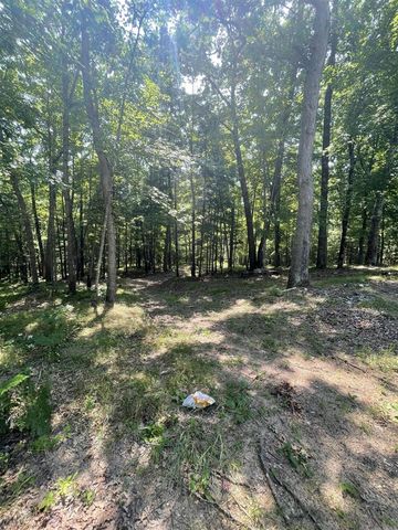 10897 N Mac Road, Irons, MI 49644