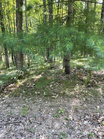 10897 N Mac Road, Irons, MI 49644