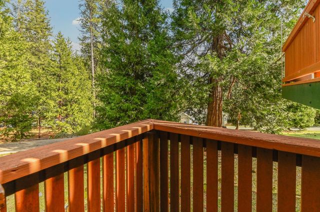 16625 Alpine Ln, Pioneer, CA 95666