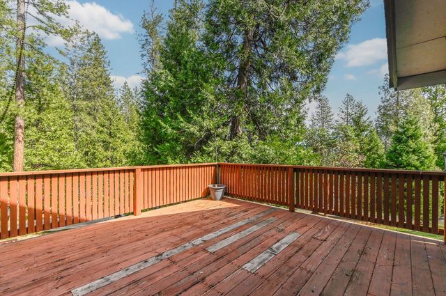 16625 Alpine Ln, Pioneer, CA 95666