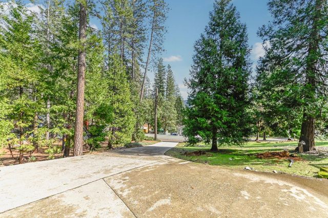 16625 Alpine Ln, Pioneer, CA 95666