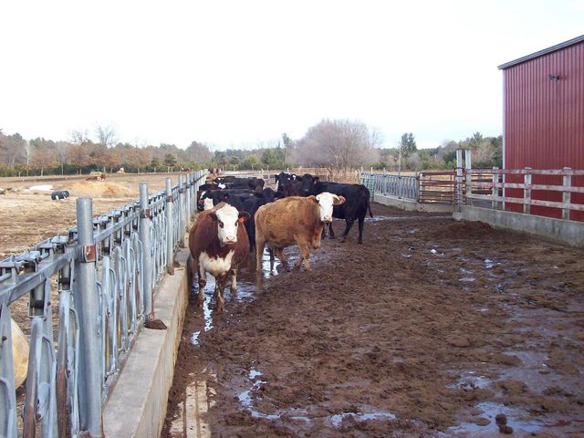 N6702 12th Road, Montello, WI 53949