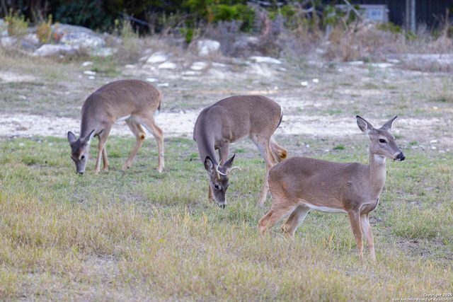 411 Lake Park, Canyon Lake, TX 78133