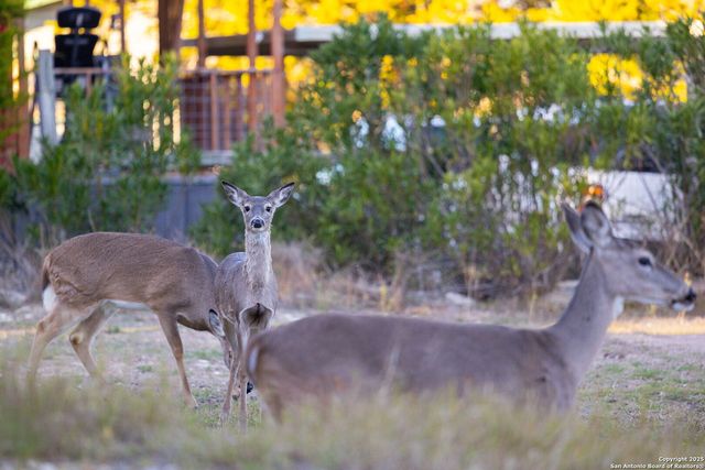 411 Lake Park, Canyon Lake, TX 78133