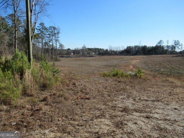 391 Hog Liver Road, Carrollton, GA 30117