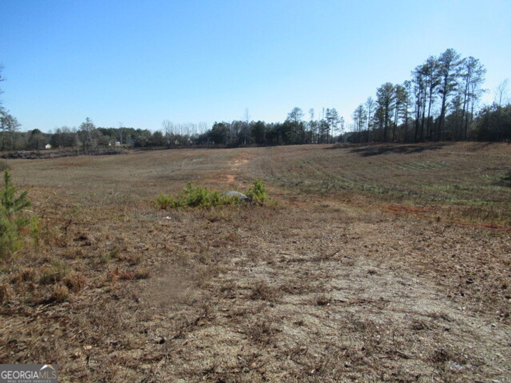 391 Hog Liver Road, Carrollton, GA 30117