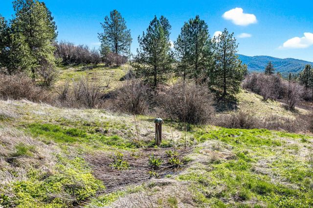 3811 S Henry Rd, Greenacres, WA 99016