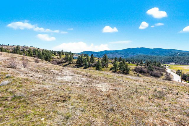 3811 S Henry Rd, Greenacres, WA 99016