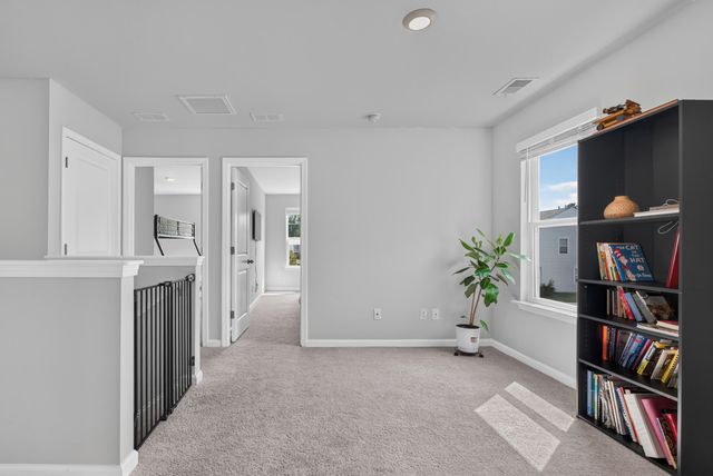 713 Pepperbush Street, Charleston, SC 29414