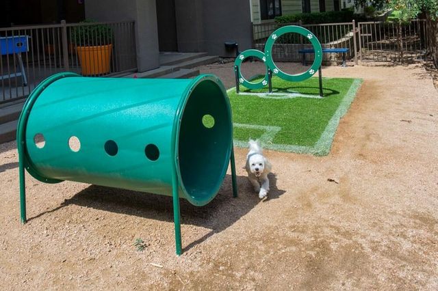 3333 Weslayan Street 2259, Houston, TX 77027