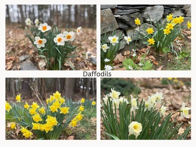 408 Old Guilford Road, Brattleboro, VT 05301