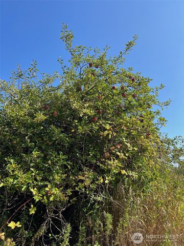 1440 Peltier Drive, Point Roberts, WA 98281