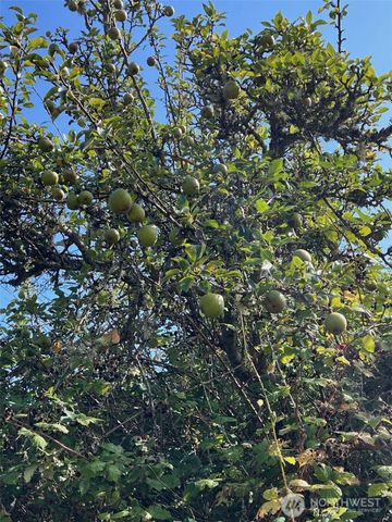 1440 Peltier Drive, Point Roberts, WA 98281