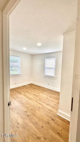 1413 Orleans Street, Johnson City, TN 37601
