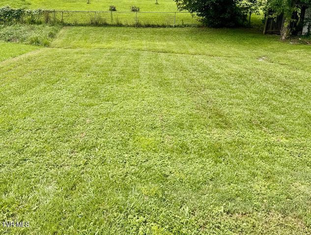 1413 Orleans Street, Johnson City, TN 37601