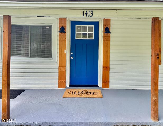 1413 Orleans Street, Johnson City, TN 37601