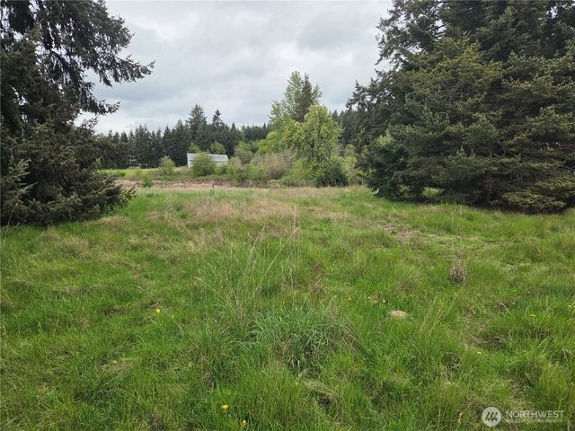 16412 115th Lane SE, Yelm, WA 98597