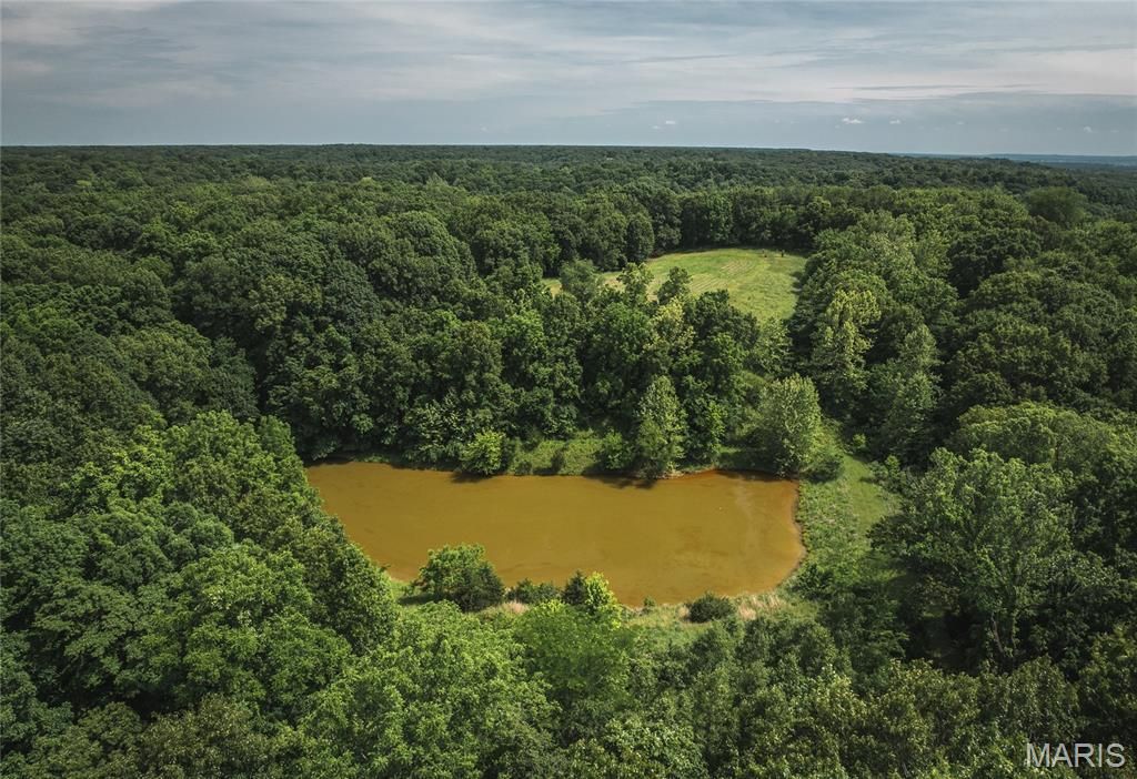 Image 14 of property listing at 1757 Infidel Hollow Road, Nebo, IL 62355