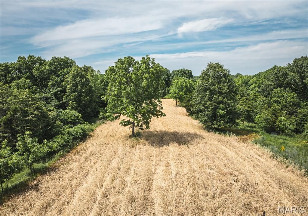 Image 15 of property listing at 1757 Infidel Hollow Road, Nebo, IL 62355