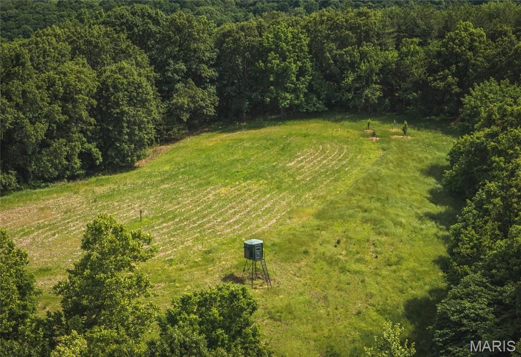 Image 16 of property listing at 1757 Infidel Hollow Road, Nebo, IL 62355