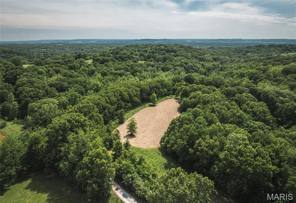 Image 18 of property listing at 1757 Infidel Hollow Road, Nebo, IL 62355