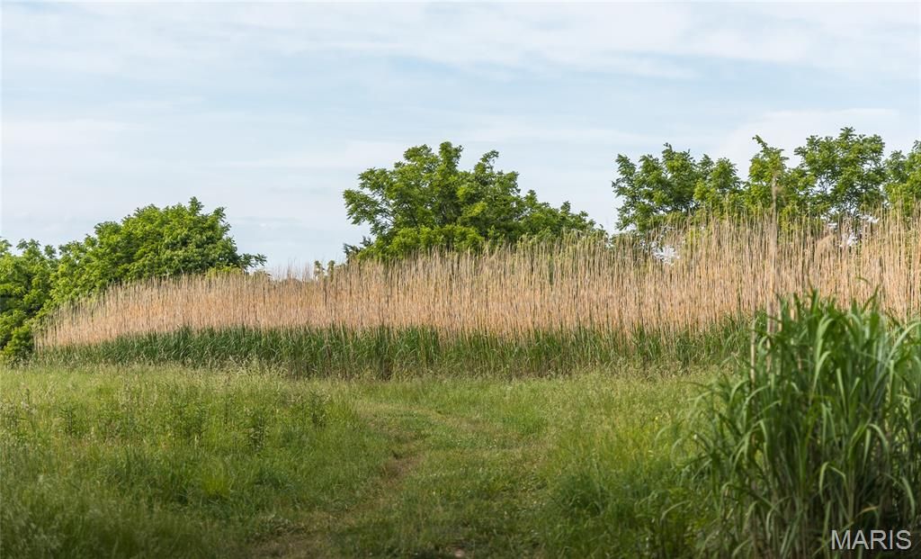 Image 19 of property listing at 1757 Infidel Hollow Road, Nebo, IL 62355