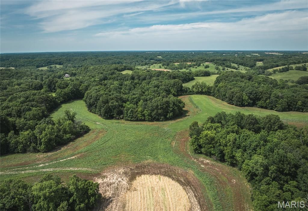 Image 21 of property listing at 1757 Infidel Hollow Road, Nebo, IL 62355