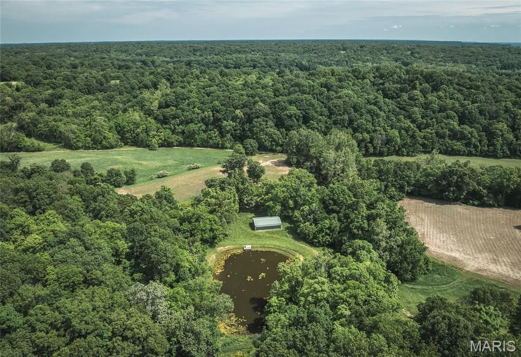 Image 22 of property listing at 1757 Infidel Hollow Road, Nebo, IL 62355