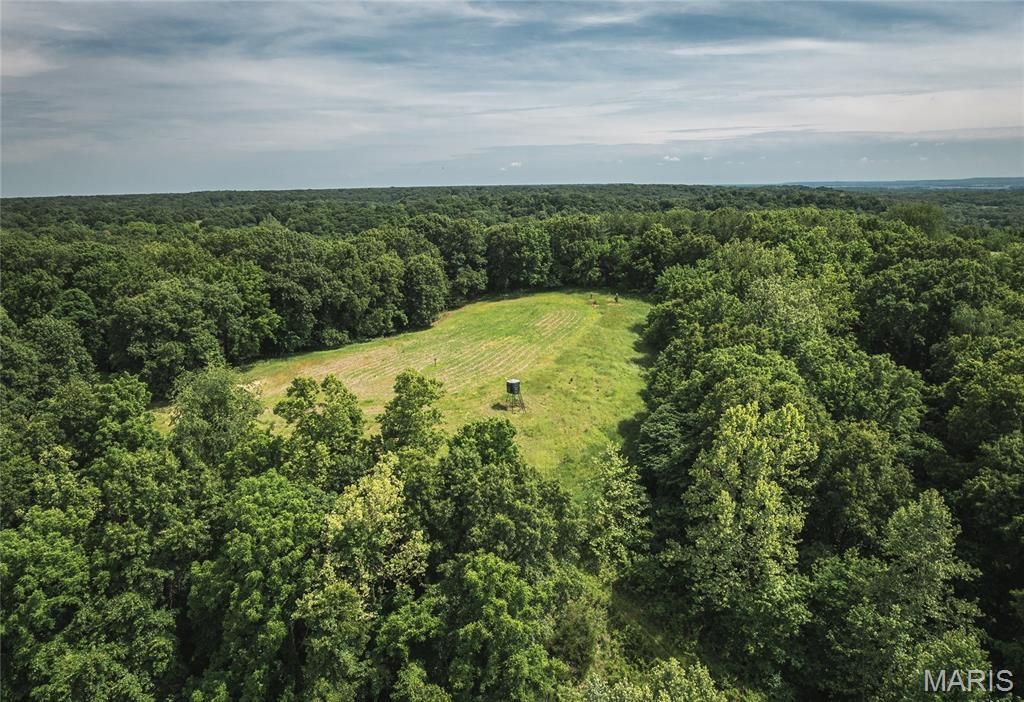 Image 24 of property listing at 1757 Infidel Hollow Road, Nebo, IL 62355
