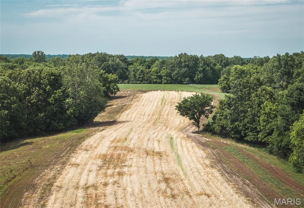 Image 25 of property listing at 1757 Infidel Hollow Road, Nebo, IL 62355