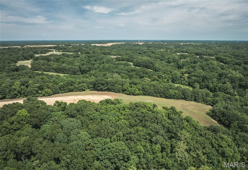 Image 28 of property listing at 1757 Infidel Hollow Road, Nebo, IL 62355