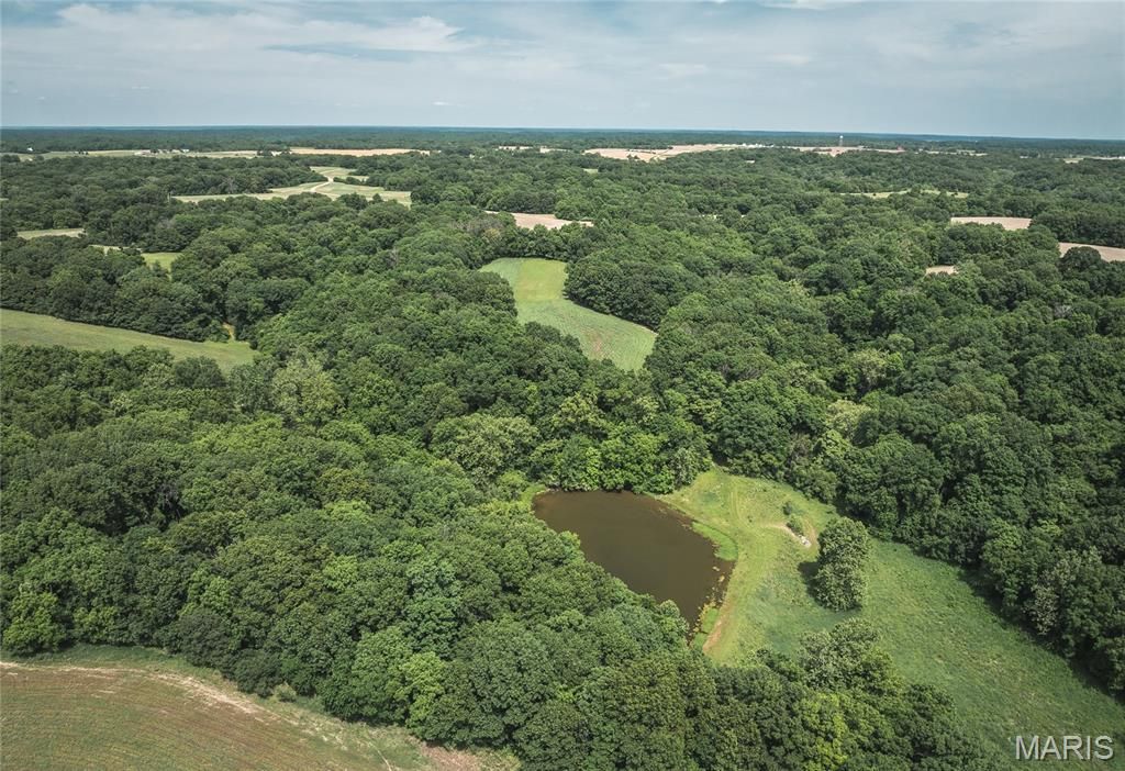 Image 29 of property listing at 1757 Infidel Hollow Road, Nebo, IL 62355