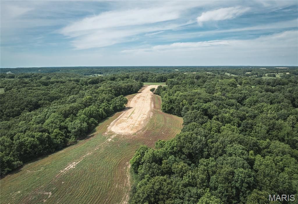 Image 30 of property listing at 1757 Infidel Hollow Road, Nebo, IL 62355