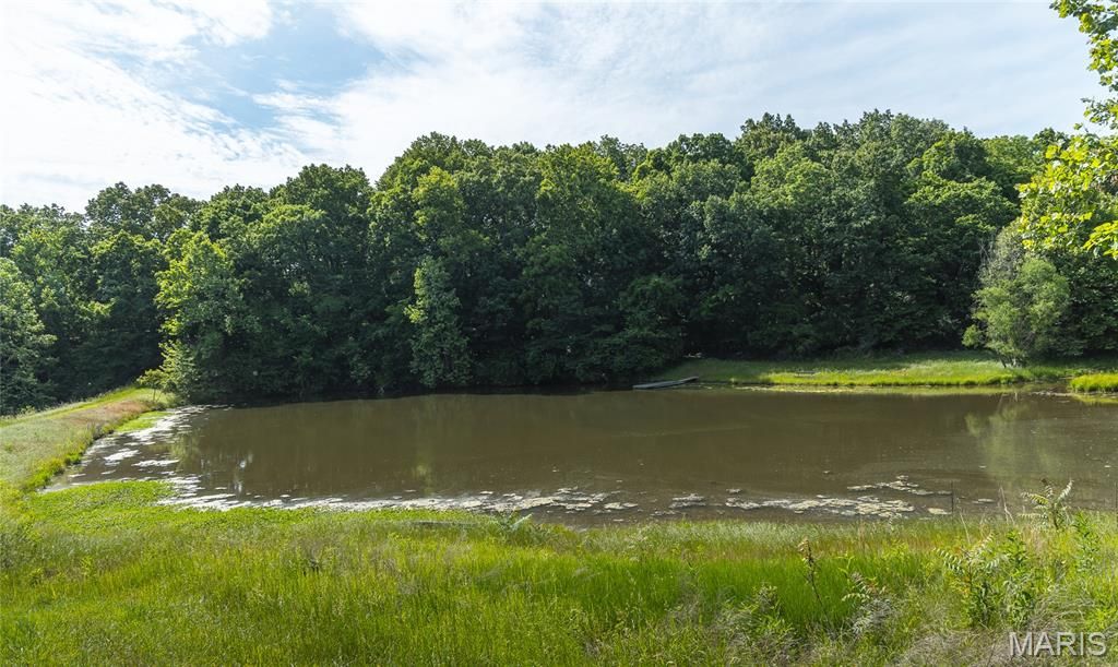 Image 31 of property listing at 1757 Infidel Hollow Road, Nebo, IL 62355