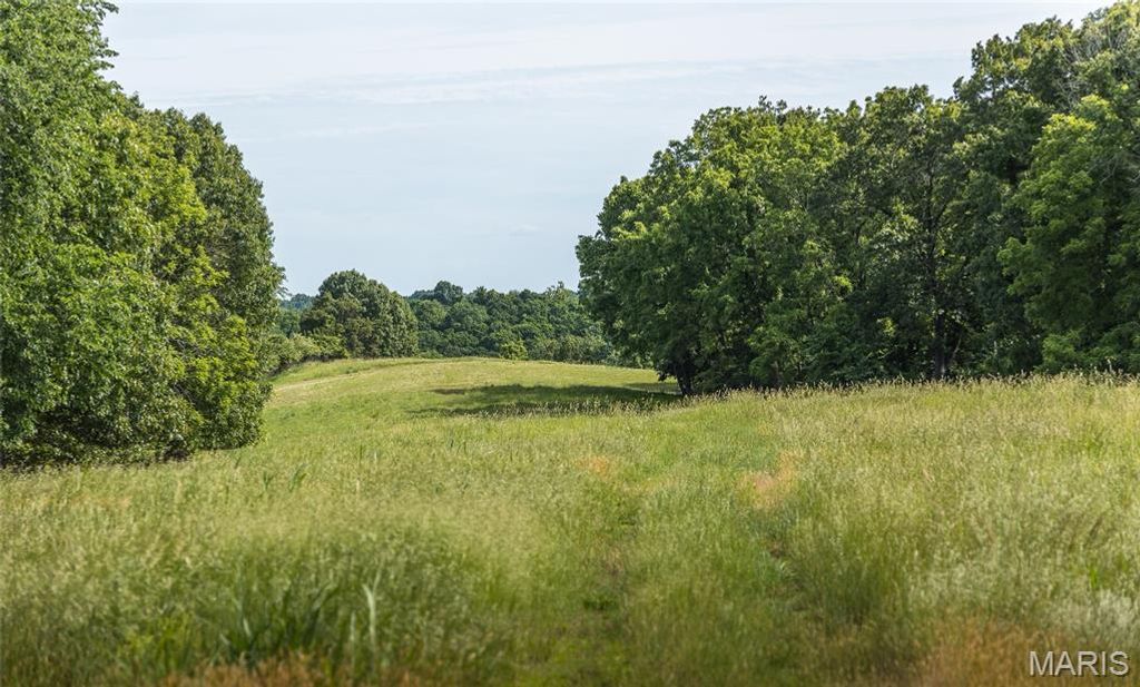 Image 32 of property listing at 1757 Infidel Hollow Road, Nebo, IL 62355