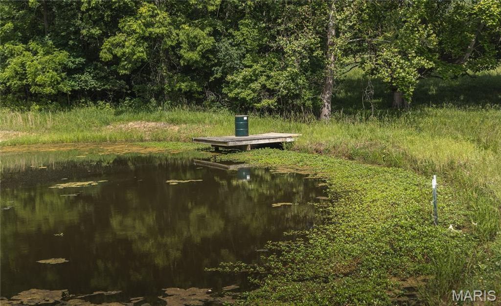 Image 36 of property listing at 1757 Infidel Hollow Road, Nebo, IL 62355