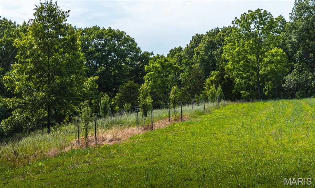 Image 38 of property listing at 1757 Infidel Hollow Road, Nebo, IL 62355