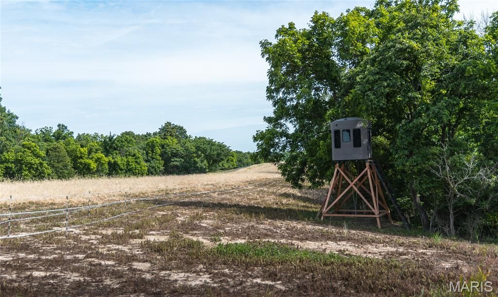 Image 39 of property listing at 1757 Infidel Hollow Road, Nebo, IL 62355