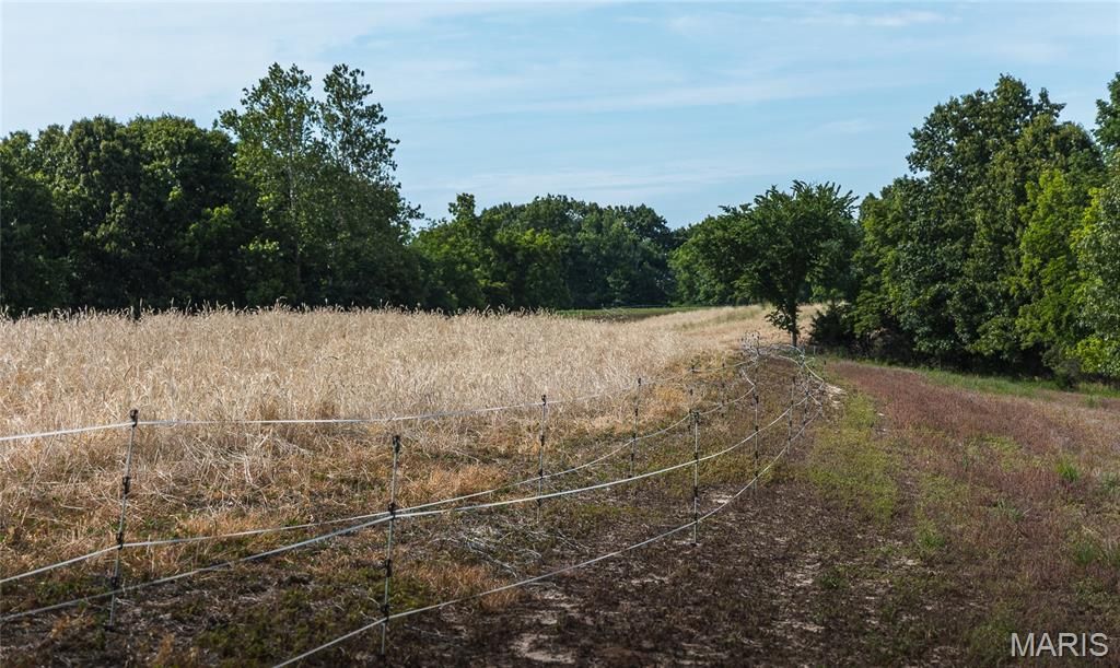 Image 42 of property listing at 1757 Infidel Hollow Road, Nebo, IL 62355