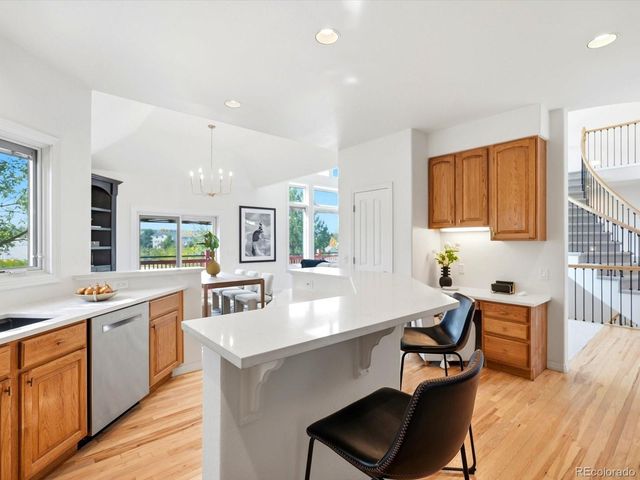 10583 Serengeti Drive, Lone Tree, CO 80124
