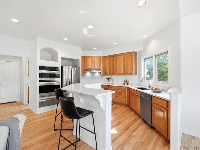 10583 Serengeti Drive, Lone Tree, CO 80124