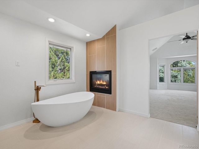 10583 Serengeti Drive, Lone Tree, CO 80124