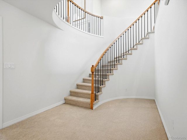 10583 Serengeti Drive, Lone Tree, CO 80124