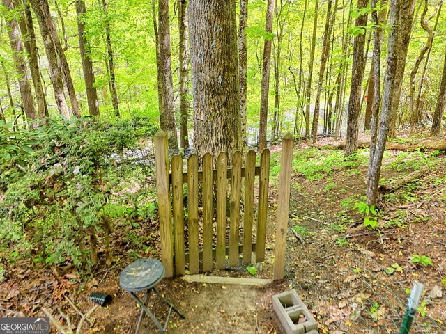 1133 Ridgepole Drive, Sky Valley, GA 30537