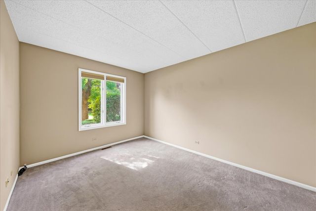 9810 Mill Drive W E1, Palos Park, IL 60464