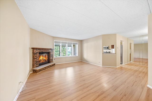 9810 Mill Drive W E1, Palos Park, IL 60464