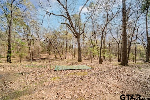 1100 Cypress Creek Drive, Mt Vernon, TX 75457