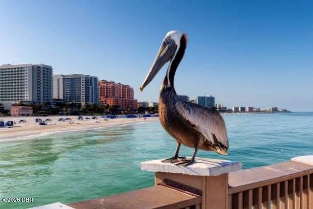 3047 S Atlantic Ave Apt 1002, Daytona Beach Shores, FL 32118